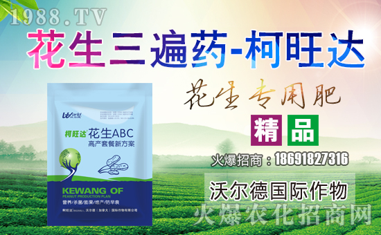 ���֠����H���ף��ҹ������������������