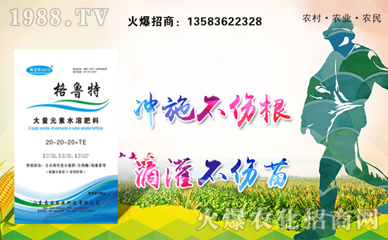 ��ɽ�|��Ʒ��ףȫ��(gu��)�����Ҹ��������f(w��n)�����⣡