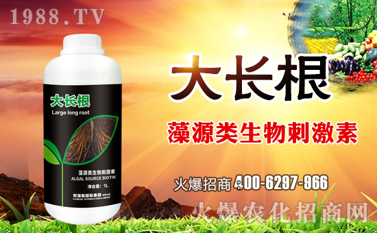 【凱瑞斯國際】祝大家在新的一年里闔家歡樂,幸福美滿!