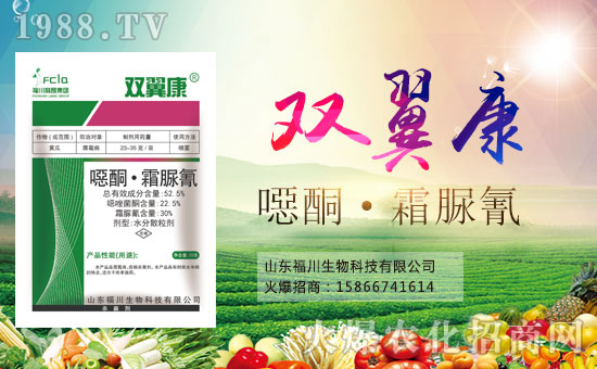 ���������ף������µ�һ�������d¡��ؔ(c��i)Դ�V�M(j��n)!