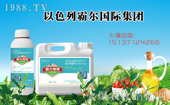 ���Ԡ����H��ףȫ���������µ�һ���﹤�����������������