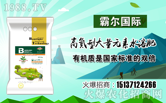 ���Ԡ����H��ףȫ���������µ�һ���﹤�����������������