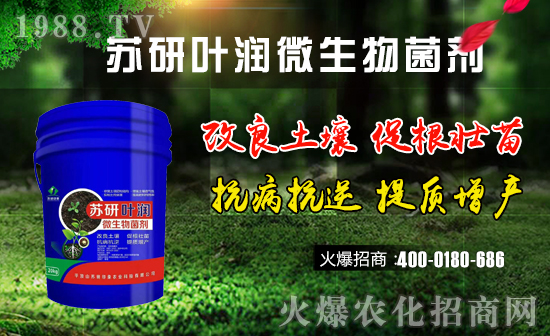 �K���~��