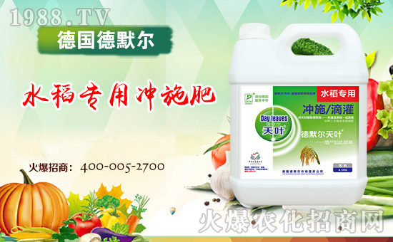 ����(gu��)��Ĭ����ף���2018��������\(y��n)�������ո����գ�