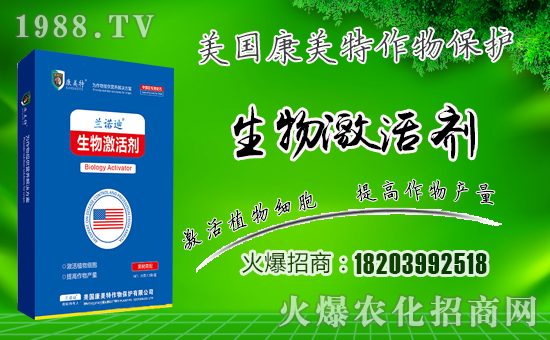 �����������ף������µ�һ���﹤�����������������