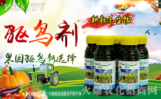 �����Ř����ף������µ�һ���������³����f��������