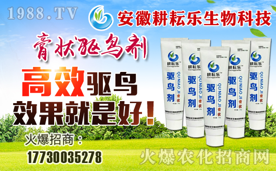 �����Ř����ף������µ�һ���������³ɣ��f��������