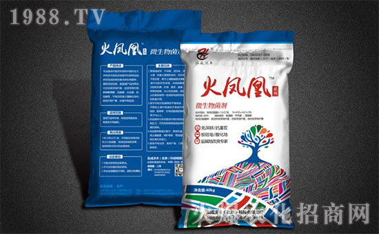 ���������S��ȫ�w�T��ף�V���r(n��ng)�Y���т�����(ji��)������Ҹ����M��