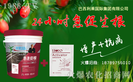 ���������H��ף������µ�һ���ﹷ������f��������