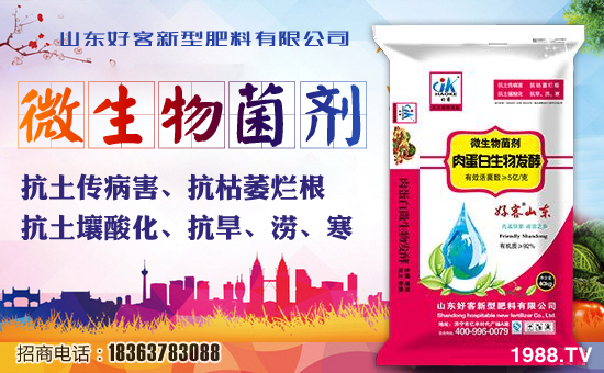 ��ɽ�|�ÿ͡�ף��ҹ�����\�L��������ͥ�������d����