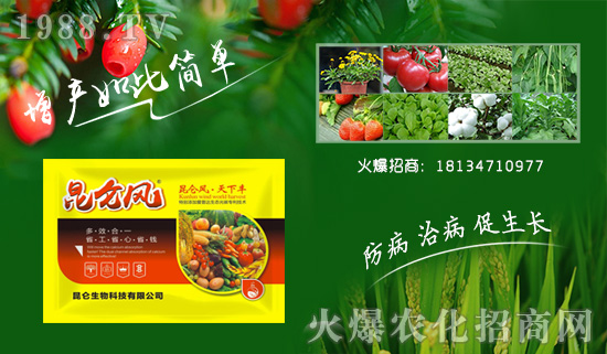 ���������ף��ҹ��������������t�t�����