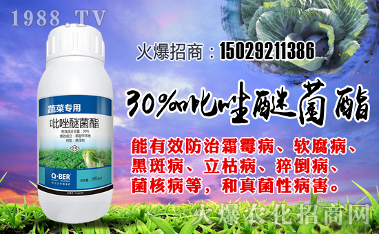 ����ؐ�����ףȫ��(gu��)���ѹ�������f��������