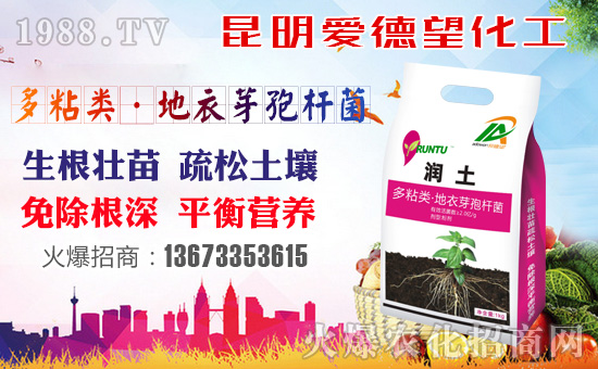 ����(��i)����������ף������µ�һ�����Ҹ����M(m��n)���H�Қg��(l��)��