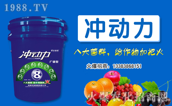 ������ؐʩ����ף���ؽ�(j��ng)�N������ǧ�¼��飬�f��������