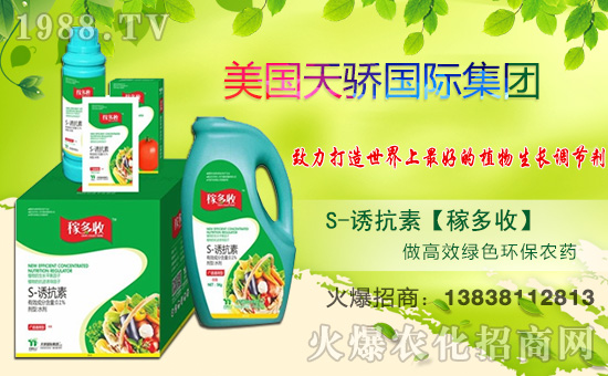 �������H��ףȫ���������w�������f��������