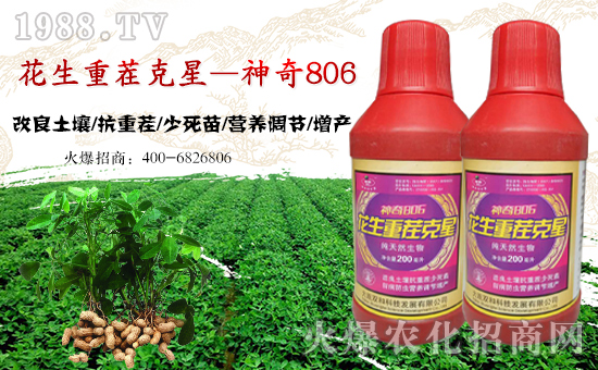 �����B�p�͡���ף���Ͽ͑������д��\(y��n)��ؔ(c��i)Դ�L�L��(l��i)��