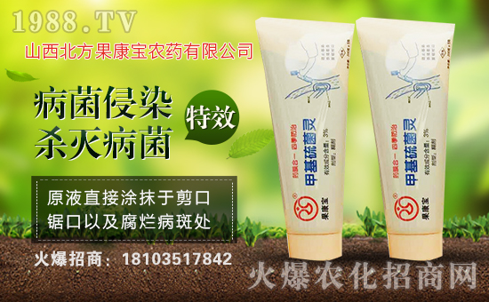 ��ɽ����������ף�������옷(l��)�����¶����