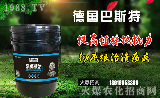 ����(gu��)��˹�ء�ף��ҹ���󼪣��f(w��n)��������