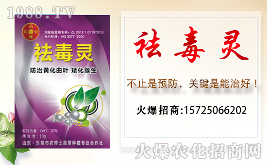 �������r(n��ng)��ʿ��ף������µ�һ���(l��i)���w�������f(w��n)��������