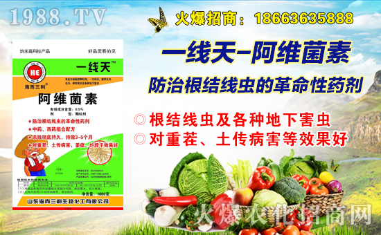 ���������ףȫ�����Ѻ��¶����Ц�ݶ�࣡