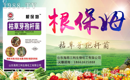 ���������ףȫ�����Ѻ��¶�࣬Ц�ݶ����