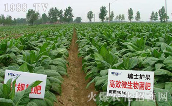 ��ʿ�o(h��)�����H���F(tu��n)���޹�˾