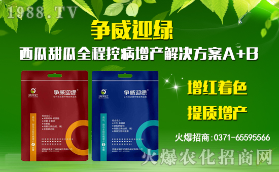 ���M��tֲ�ף������µ�һ�������w�������f(w��n)�����⣡