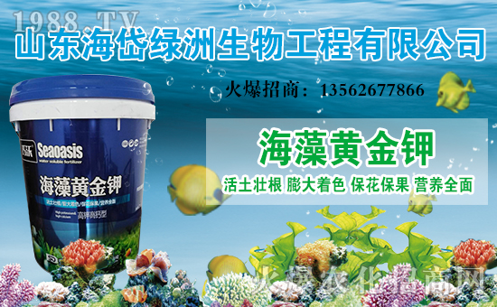 ����᷾G�ޡ�ף������옷���Ҹ��d�d��