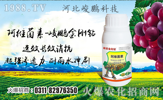 �����i�Ƽ���ףȫ���������w���������������