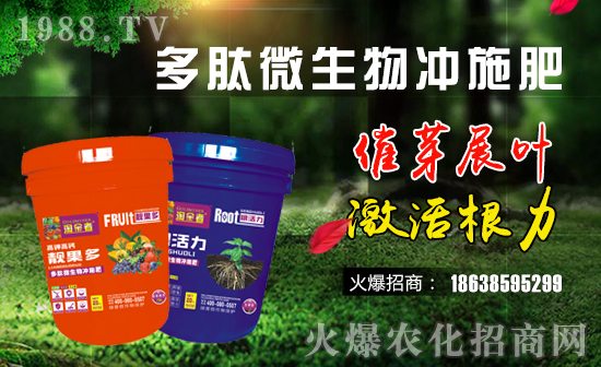 ������(gu��)�G���š�ףԸһ·�������т����w���������꼪����