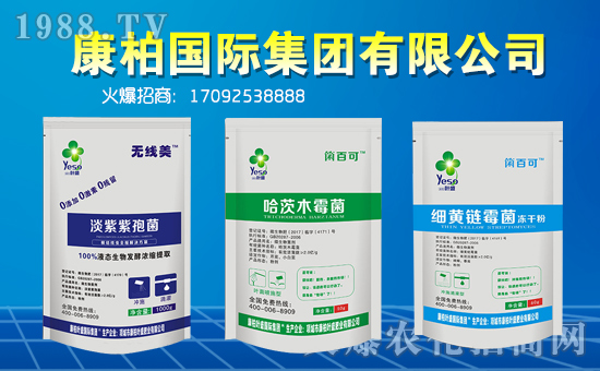 �����؇��H��ף��һ·�������т����µ�һ�����Ҹ����M���H�Қg����