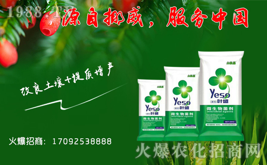 �����؇��H��ף��һ·�������т����µ�һ�����Ҹ����M���H�Қg����