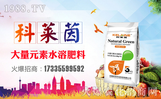 ���W���r(n��ng)�I(y��)��ף������µ�һ�����չ��D���H���Ҹ���