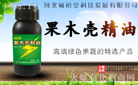 �ӱ������ÿƼ��l(f��)չ���޹�˾