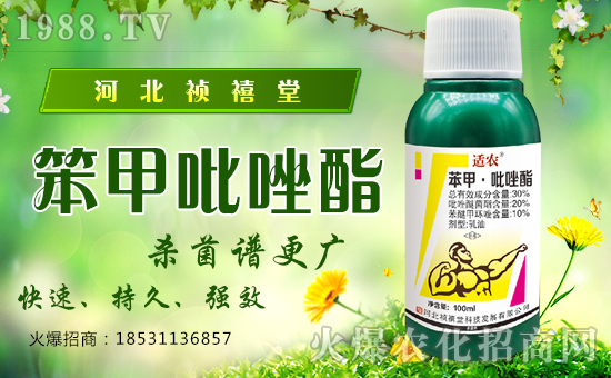 �ӱ������ÿƼ��l(f��)չ���޹�˾