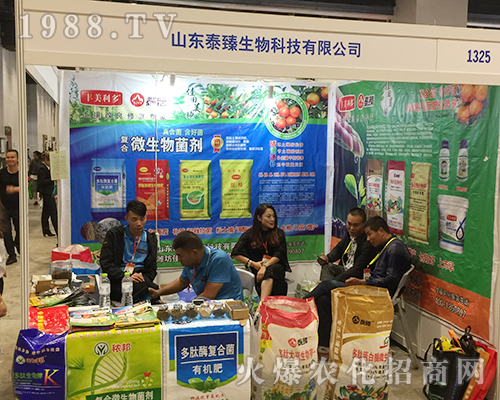 ɽ�|̩�������ڵ�ʮ�����ό��r(n��ng)�Y��(hu��)�Ђ��f������