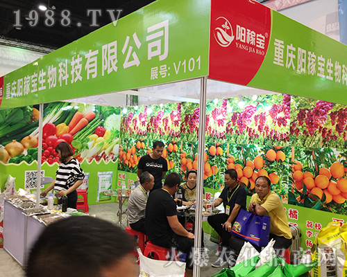 2018�V���ό��r(n��ng)�Y�����ؑcꖼڌ�����ݳ���