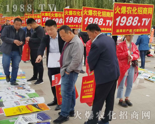     2018ɽ�|��(j��)��ֲ�����ו�(hu��)�����r(n��ng)���W(w��ng)����ֱǰ��