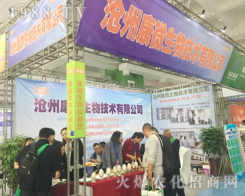 ���ݿ�΢����2018ɽ�|ֲ�����ו���(qi��ng)���ƏV