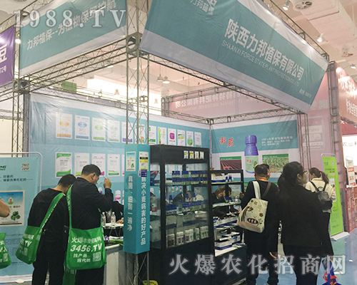 �������2018ɽ�|ֲ���p����(hu��)���(d��ng)��