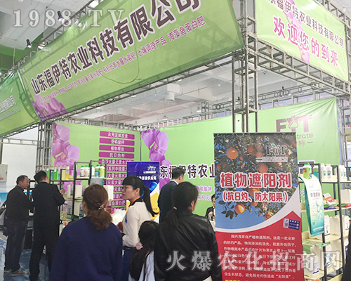 �����ص�24�Ý���ֲ�����ו��͑��j�[���^