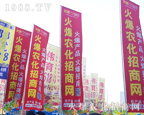 2018���������rˎ����1988.TV����***��