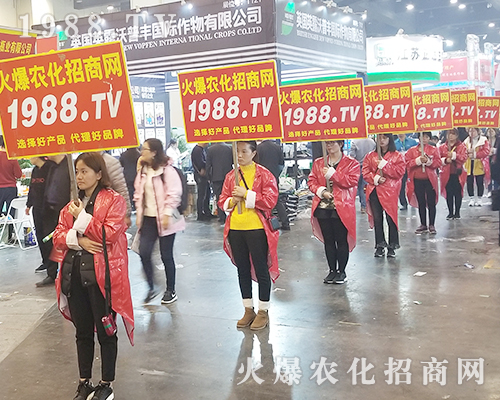     2018�����r(n��ng)ˎ�������r(n��ng)���W(w��ng)׌�fǧ�S�̳ɹ��_��(chu��ng)δ��