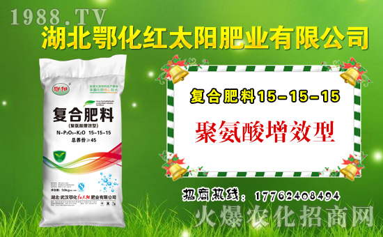 ���t̫�(y��ng)�ʘI(y��)��ףȫ��(gu��)�������µ�һ���﹤�����������������