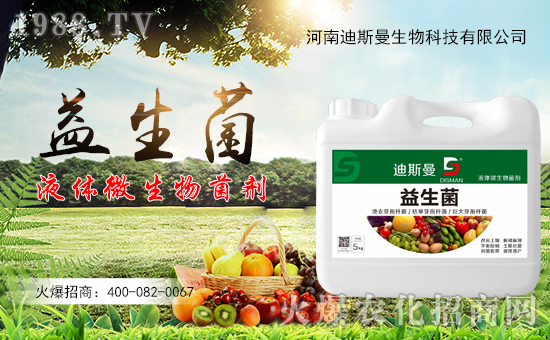 ����˹�����ף�����µ�һ�������w�������f(w��n)��������