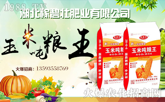 �����ڱ̉ѷʘI(y��)���޹�˾