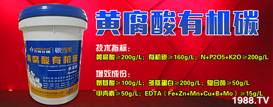 ��ɽ�|�f��ȵ¡�ȫ�w�T���o�r(n��ng)�Y��(j��ng)�N�����т���������