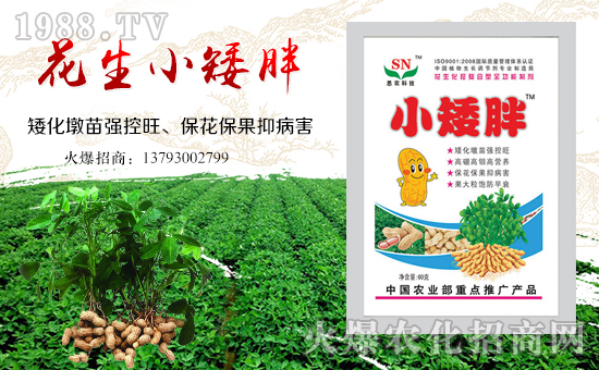 ���������ף����ҹ������������������