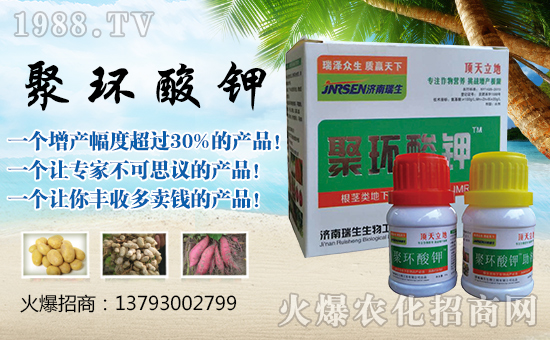 ���������ף����ҹ������������������