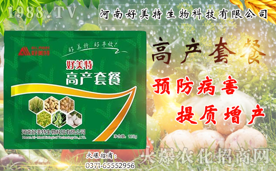 �����������ף������w�����������d�����H���Ҹ���